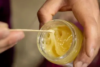 La ruche du Berger des Abeilles_La Salvetat-sur-Agout