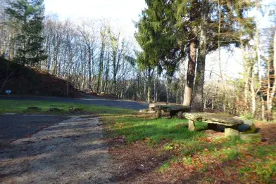 Aire de pique-nique du Bois du Devès_La Salvetat-sur-Agout