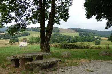Aire de pique-nique de la Pierre Plantée_Lacaune