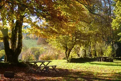 Aire de pique-nique de Campblanc_Fraisse-sur-Agout