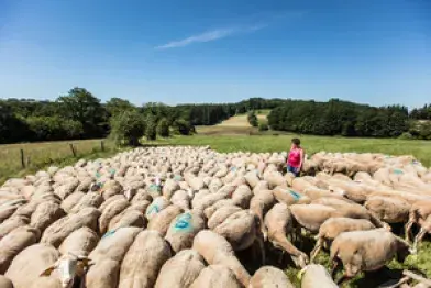 Fromagerie de Lamarque