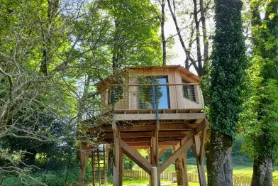 Cabane dans les arbres