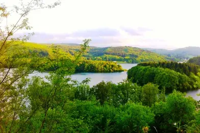 GR® de Pays Tours en Monts & Lacs en Haut-Languedoc - Circuit n°3 : Tour du lac de la Raviège_Anglès