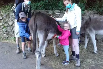 Randonnée avec des ânes_Fraisse-sur-Agout