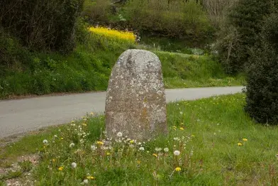 Statue-menhir de Rieuviel (2) dans son environnement naturel