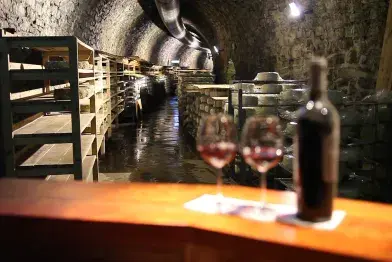 Visite commentée du tunnel d'affinage de la Laiterie Fabre_Viane