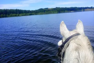 Ranch du Haut-Languedoc