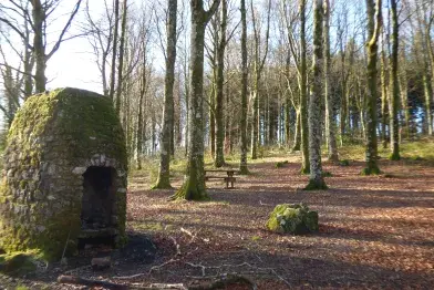 Aire de pique-nique de la Piguière - Anglès