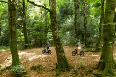 Les forêts enchantées du Moulinet en trottinettes électriques (1h30)_Le Soulié