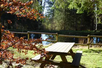 Aire de pique-nique de Poutras_Lacaune