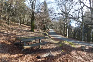 Aire de pique-nique du Pas de la Lauze_Rosis