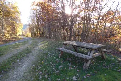 Aire de pique-nique du lac du Laouzas (n°2)_Nages