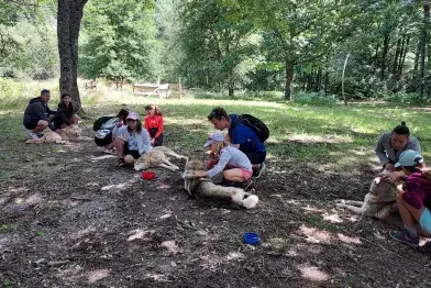 Randonnée cani-marche_Nages