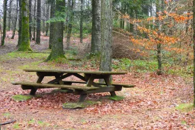 Aire de pique-nique de Vésoles - Parking 1_Fraisse-sur-Agout