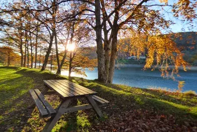 Aire de pique-nique du lac du Laouzas (n°3)_Nages