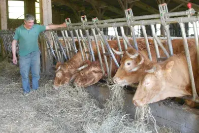 Alain Senegas_Anglès