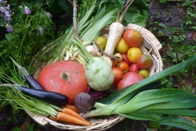 Les Equipages du Jougnier_Fraisse-sur-Agout