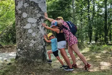 Statue-menhir de Picarel_Fraisse-sur-Agout