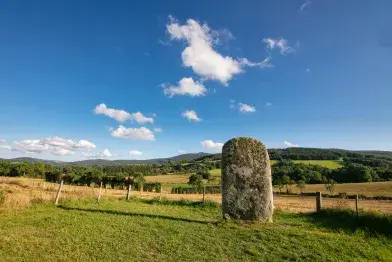 Pierre Plantée dans son environnement naturel.