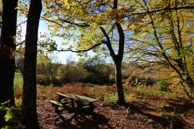 Aire de pique-nique entre Farrals et Campblanc (Lac de Vesoles)_Fraisse-sur-Agout