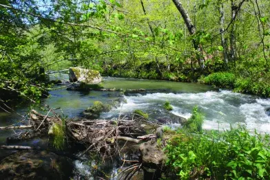 Le Viau en aval de Nages