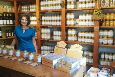 Visite commentée du Berger des Abeilles_La Salvetat-sur-Agout