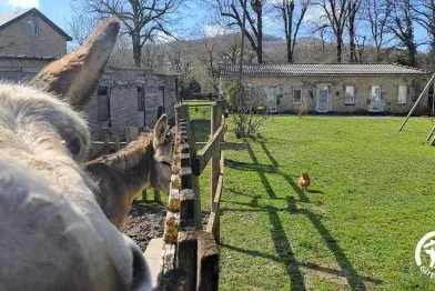 La Rabaudié, Viane, Tarn - Réf G922 sur Gîtes de France