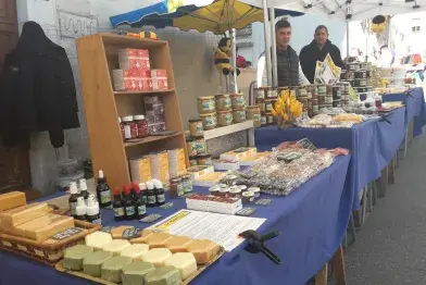 Anglès Mellifica_Anglès