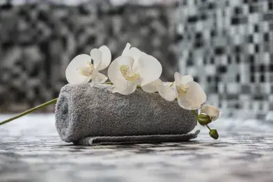 Rituel - Retour aux sources_Lacaune