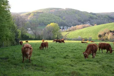 Marie-Hélène Petit_Fraisse-sur-Agout