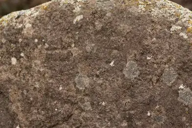 Détail de la partie supérieure de la statue-menhir de Haute Vergne