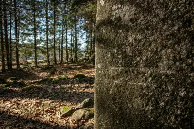 Face principale de la statue-menhir