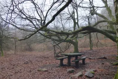 Aire de pique-nique - Parking accès lac de Vesoles_Fraisse-sur-Agout