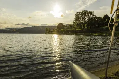 Parcours de pêche de la carpe de nuit_Nages