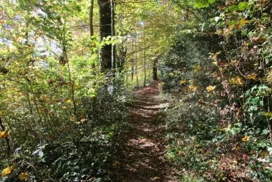 Sentier de découverte de Calmels