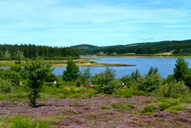 Lac de Vésoles