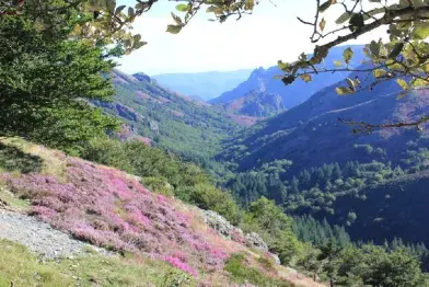 Caroux - espinouse