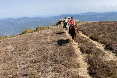 Balade à cheval