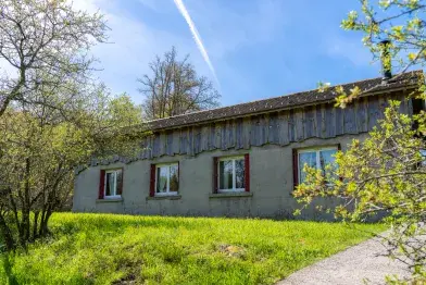 Domaine du Moulinet - Le Grand Cèdre