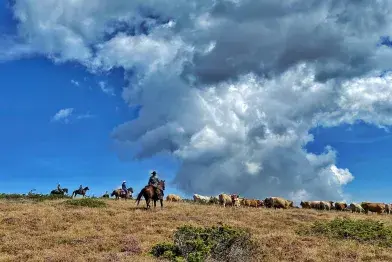 Wildust Ranch_Le Soulié