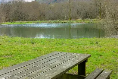 Aire de pique-nique - Plan d'eau_Barre