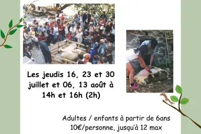 En gardant les brebis