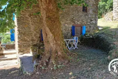 Cambert - Murat-sur-Vèbre, Tarn - G832 Gîtes de France
