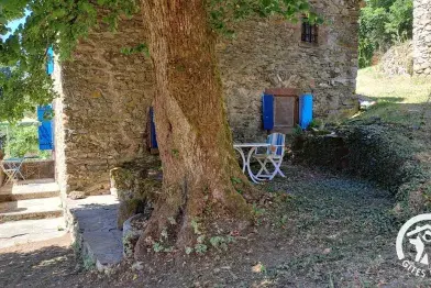 Cambert - Murat-sur-Vèbre, Tarn - G832 Gîtes de France