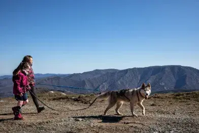 Cani-rando
